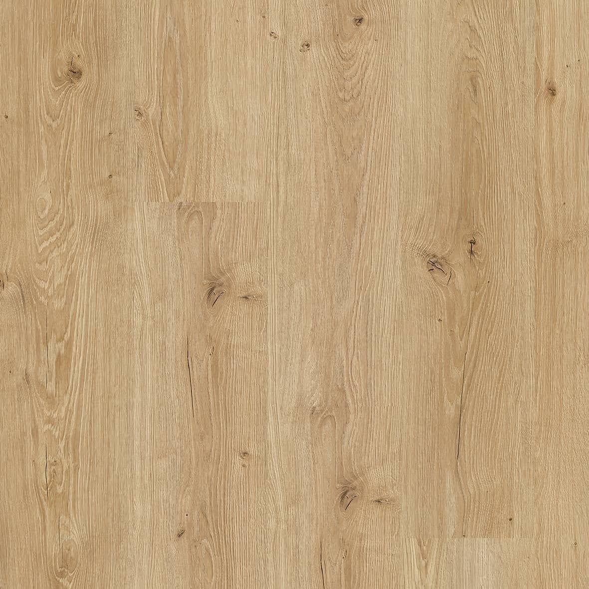 FAUS ECO ROBLE ALBORÁN S184152