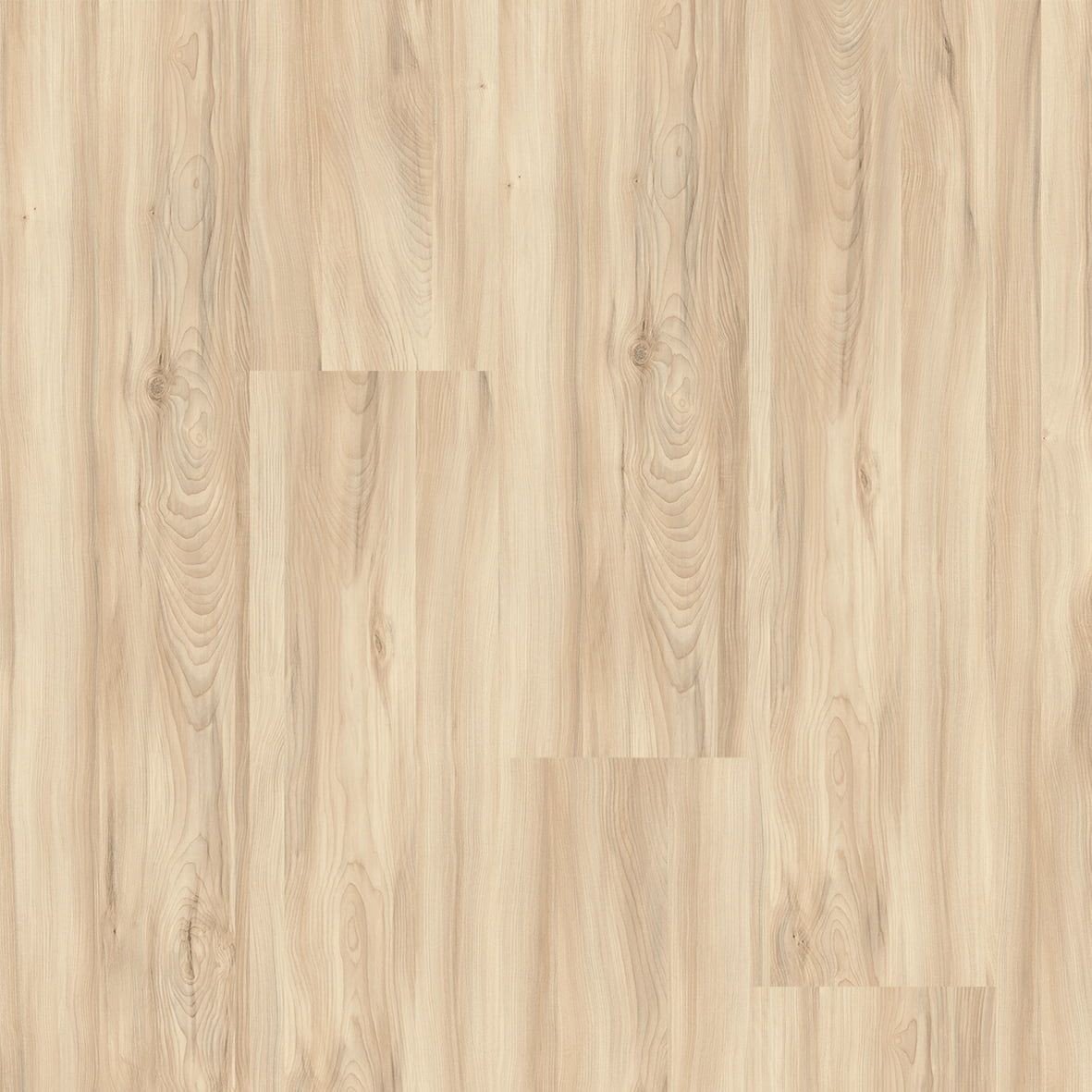 FAUS ECO ARCE DEVA S184169