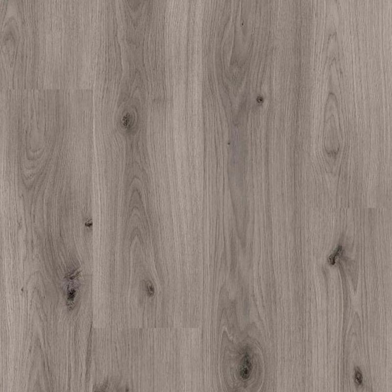 DISFLOOR XXL AC4 8MM ROBLE GRIS BRUMA 36899