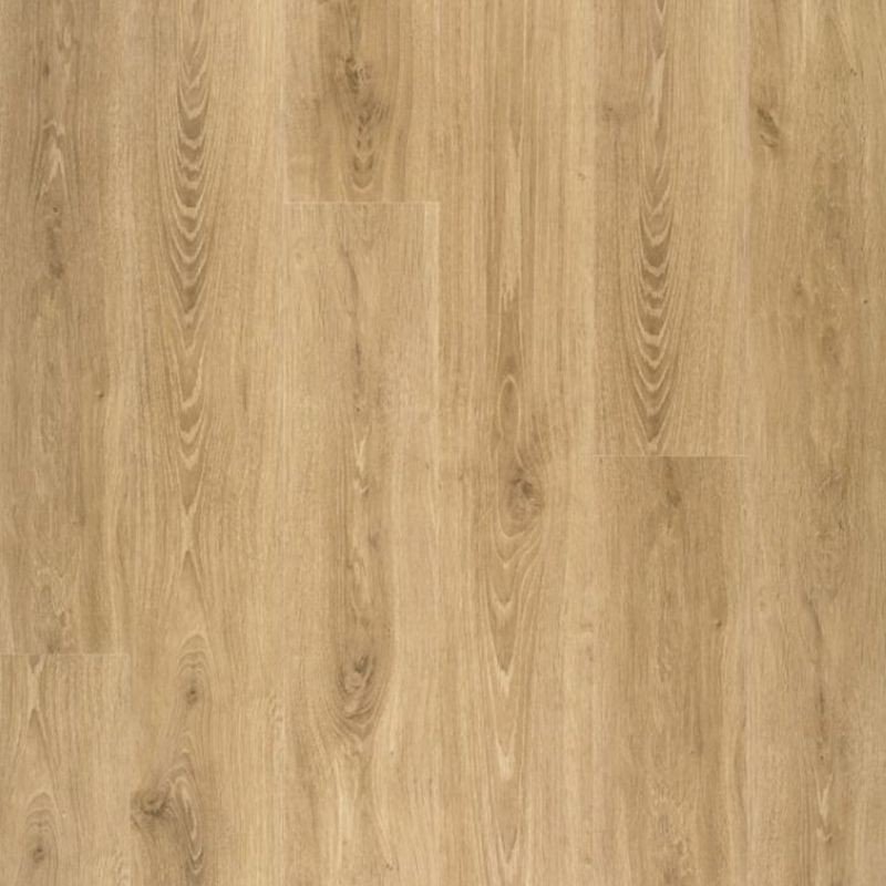DISFLOOR 8MM AC5 4V ROBLE AUTENTICO NATURAL 34829