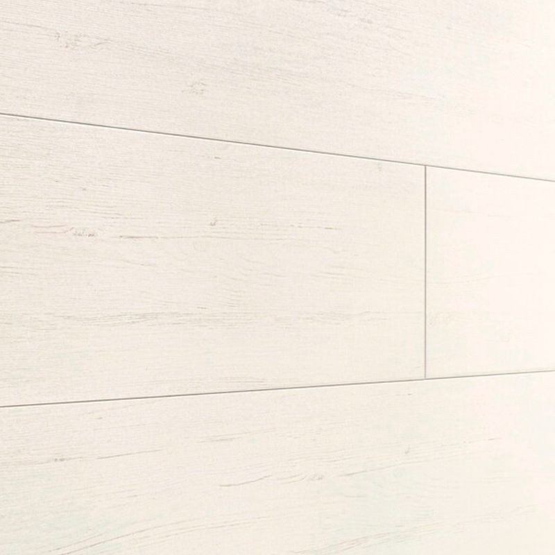 MEISTER PANELS TERRA DP200 WHITE PINE 4088 · colección Catálogo general · accesorios · Meister
