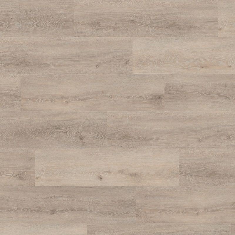TER HURNE CLASSIC EDITION ROBLE BRUJAS