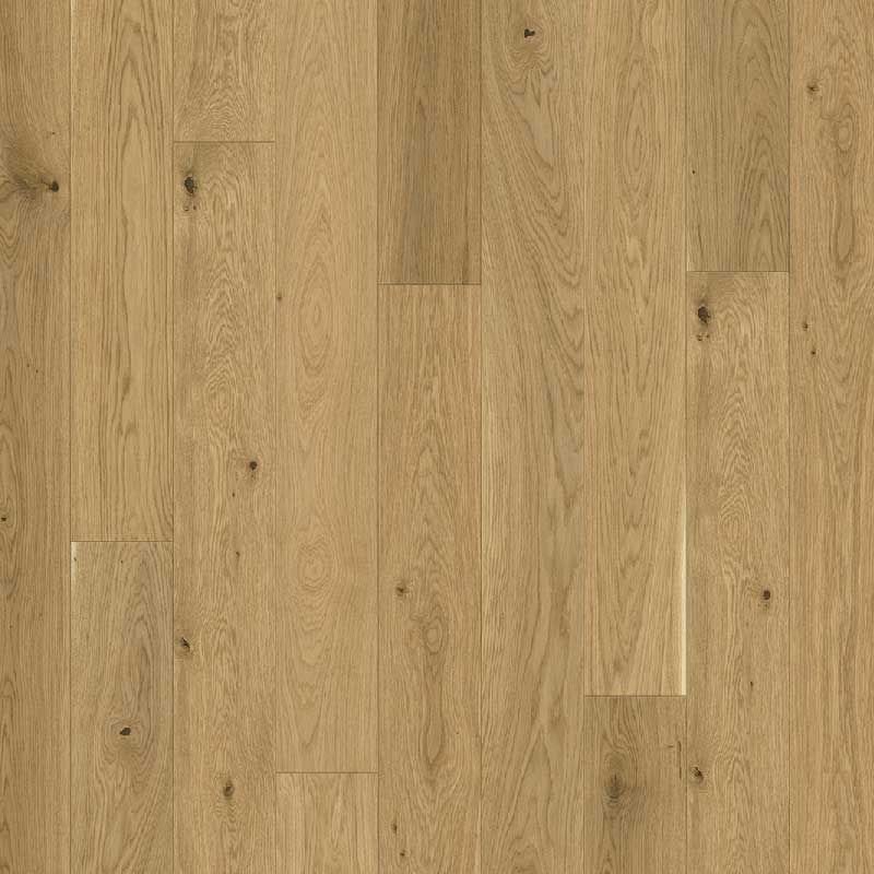 PARQUET PARADOR TRENDTIME 4 LIVING ROBLE MOLVINA NATUR 1748907