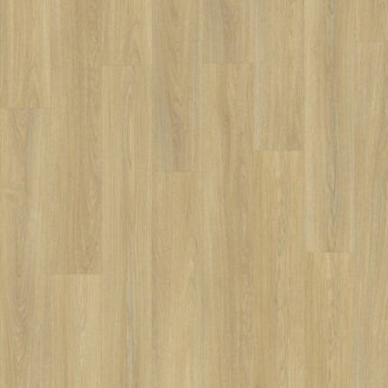 BALTERIO VEYRON ROBLE BAISO VEY40377