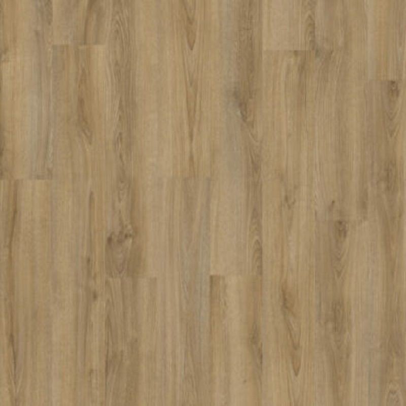 BALTERIO VEYRON ROBLE DOLO VEY40342