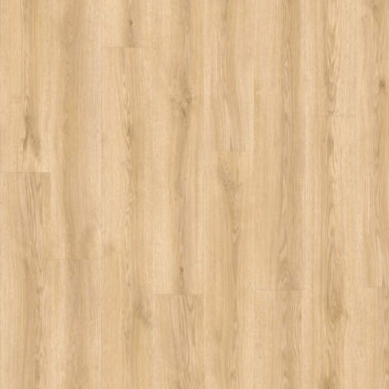 BALTERIO VEYRON ROBLE ERLI VEY40439