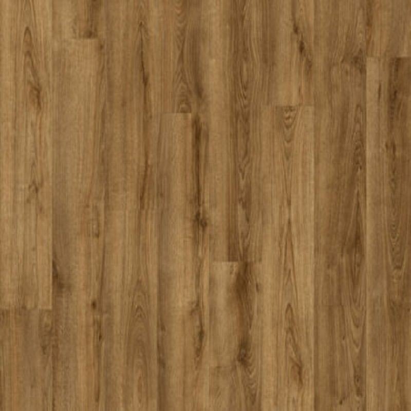 BALTERIO VEYRON ROBLE FAEDIS VEY40378