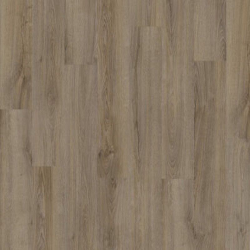 BALTERIO VEYRON ROBLE JELSI VEY40341