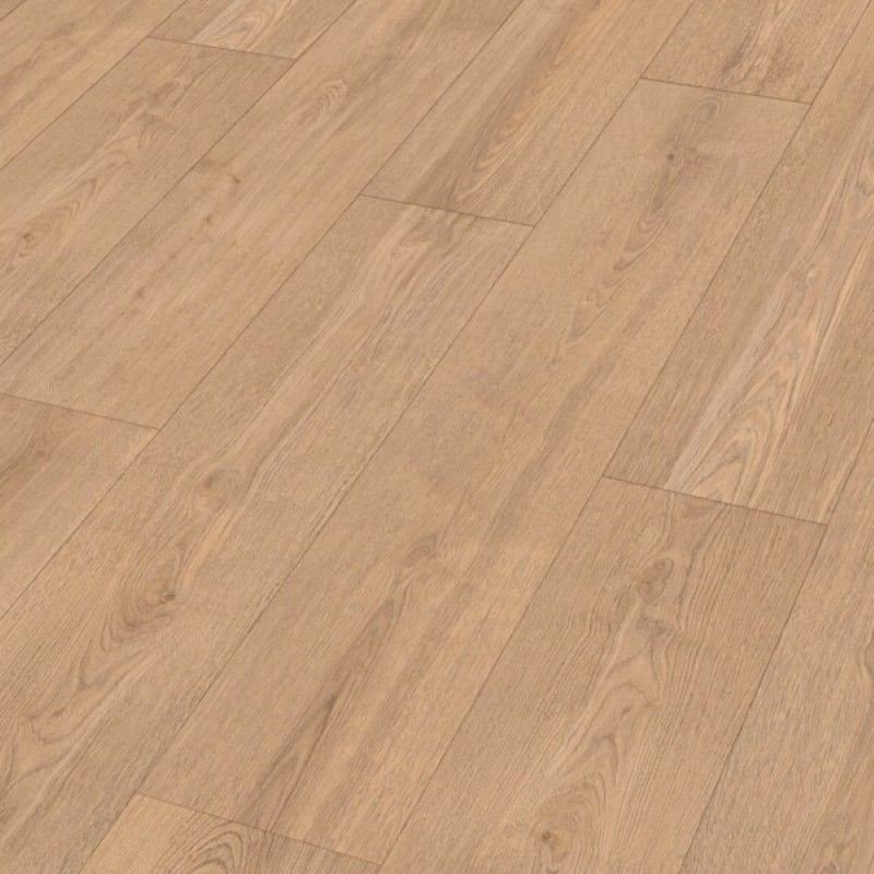 MEISTER DD 700 S SANDY BEACH OAK 07451