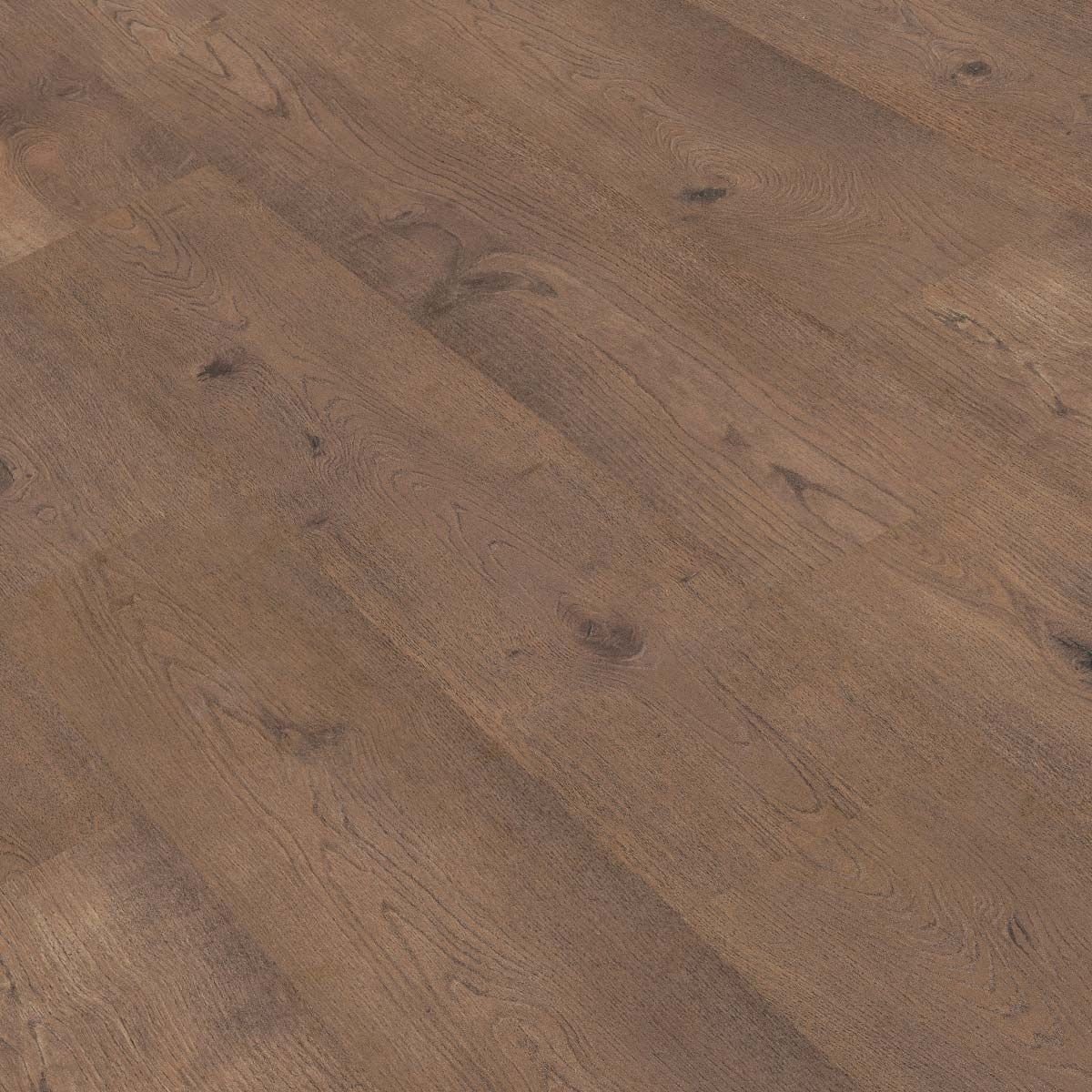 GOLD LAMINATE PRO 800 REAL ROBLE ARISTOCRACIA PRO887