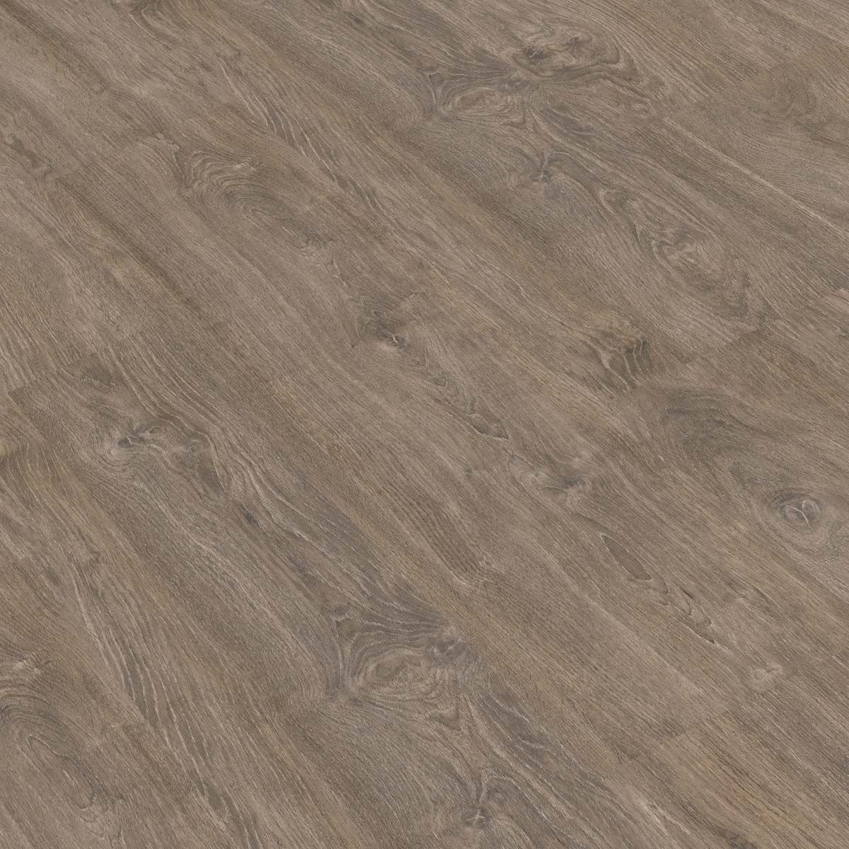 GOLD LAMINATE PRO 800 REAL ROBLE MILENARIO PRO883