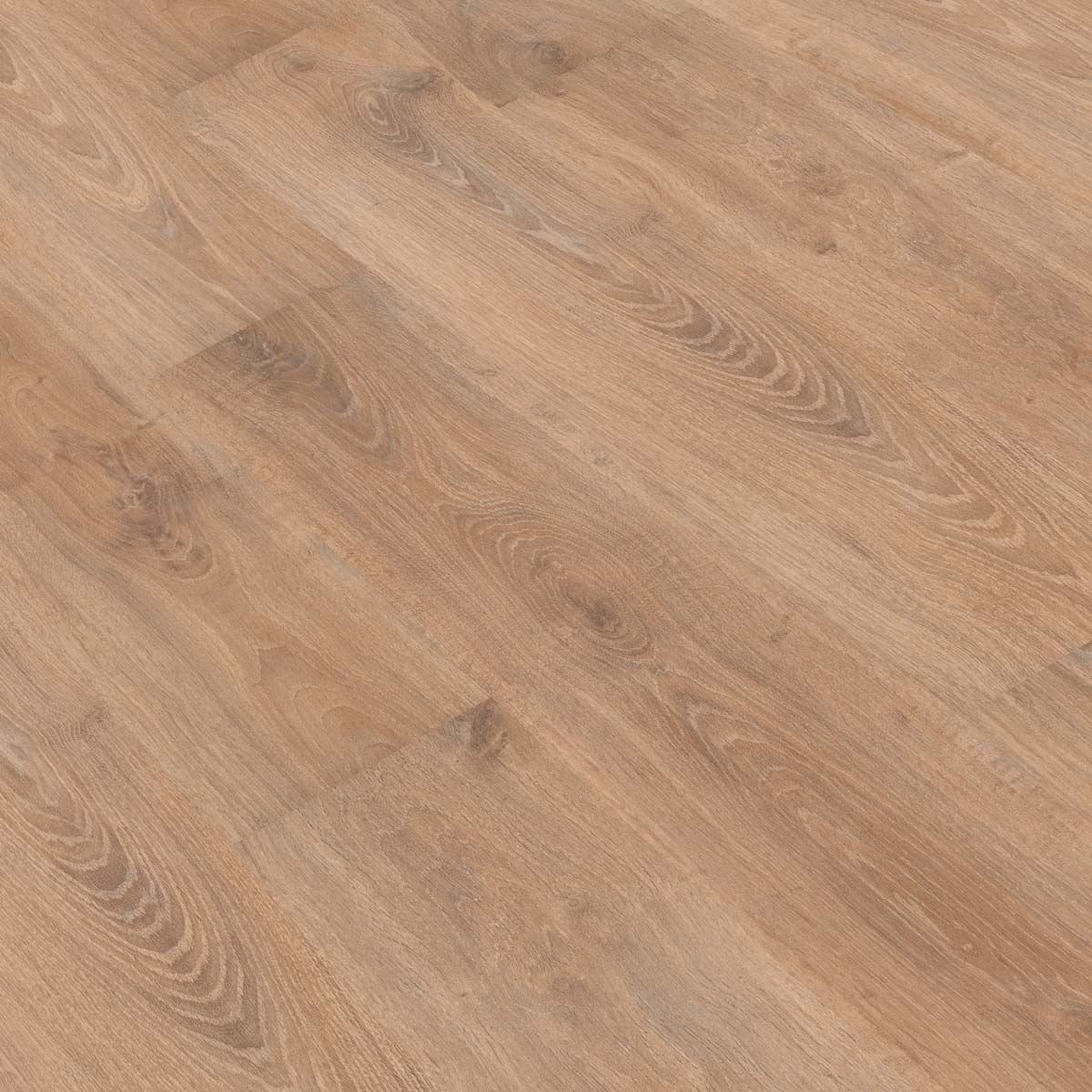 GOLD LAMINATE PRO 800 ROBLE OPALO PRO813