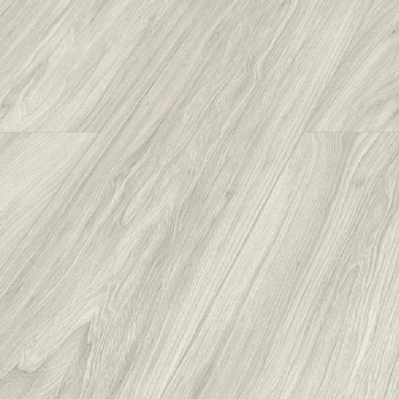 KRONOPOL TESTA OLMO BARUC D3710