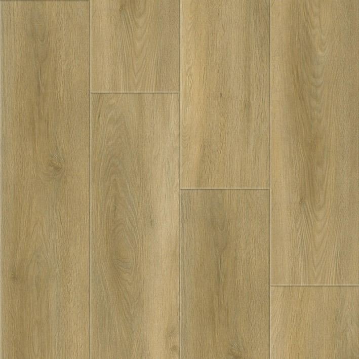 FAUS BLUE R-EVOLUTION – ROBLE INGA
