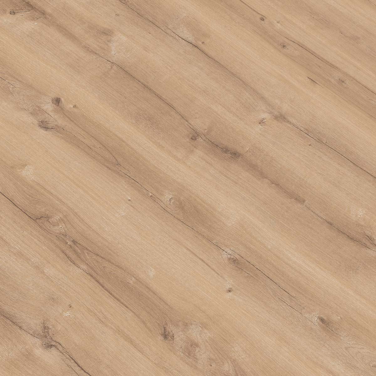 GOLD LAMINATE ESSENTIAL ROBLE MENPHIS E003